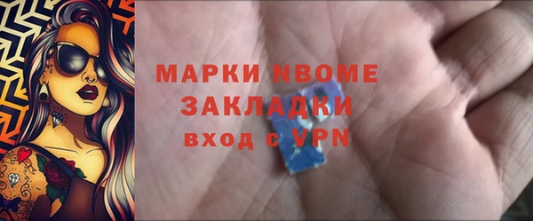 индика Баксан