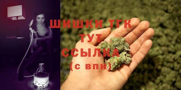 индика Баксан