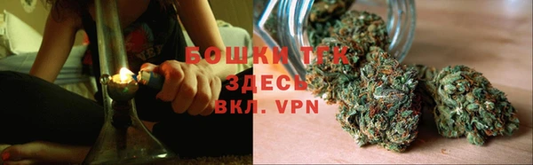 индика Баксан