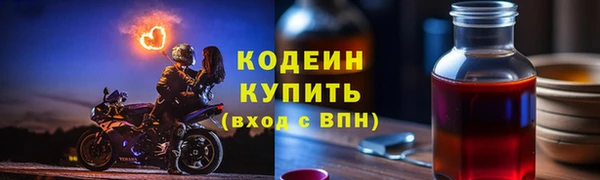 индика Баксан