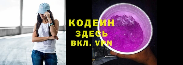 индика Баксан
