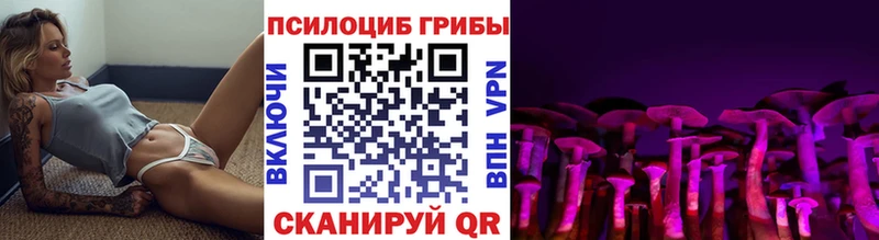 Псилоцибиновые грибы прущие грибы  Купить где  Белогорск 